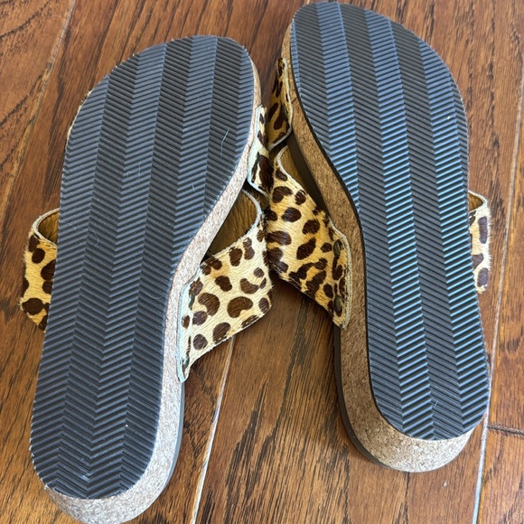 Corky’s Hazel Too - Picture 2 of 3